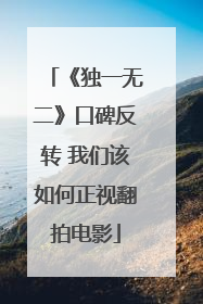《独一无二》口碑反转 我们该如何正视翻拍电影