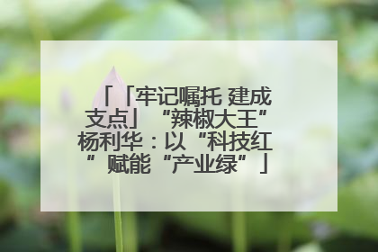 「牢记嘱托 建成支点」“辣椒大王”杨利华：以“科技红”赋能“产业绿”
