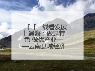 「一线看发展」通海：做足特色 做优产业——云南县域经济样本观察之二