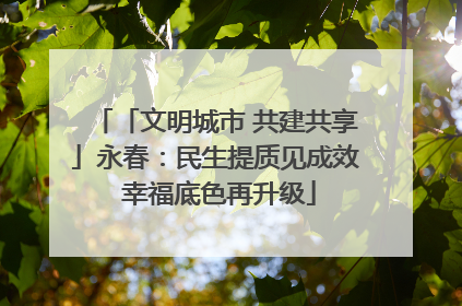 「文明城市 共建共享」永春：民生提质见成效 幸福底色再升级