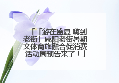 「游在盛夏 嗨到老街」咸阳老街暑期文体商旅融合促消费活动周预告来了！