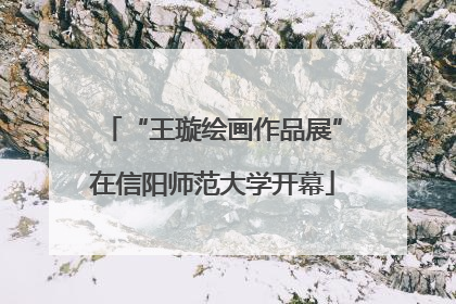 “王璇绘画作品展”在信阳师范大学开幕