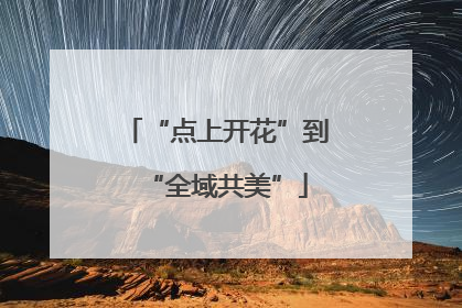 “点上开花”到“全域共美”