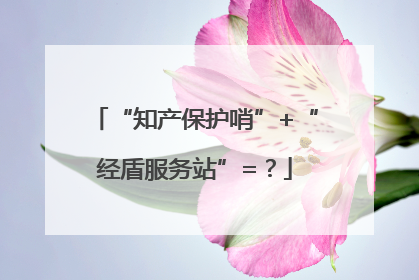 “知产保护哨”+“经盾服务站”=？