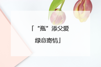 “瓶”添父爱 绿意寄情