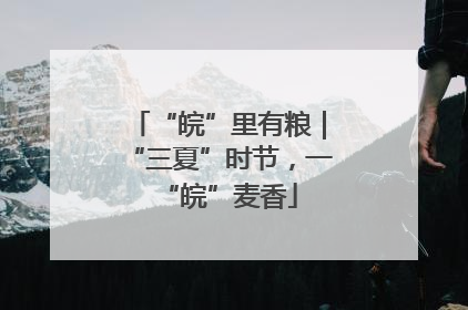 “皖”里有粮｜“三夏”时节，一“皖”麦香