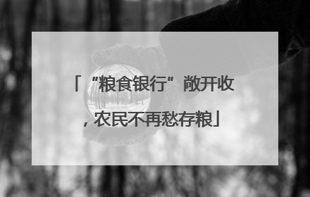 “粮食银行”敞开收，农民不再愁存粮