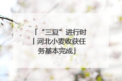 “三夏”进行时丨河北小麦收获任务基本完成