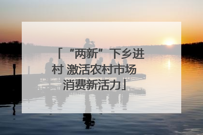 “两新”下乡进村 激活农村市场消费新活力