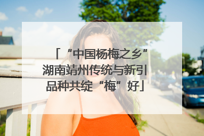 “中国杨梅之乡”湖南靖州传统与新引品种共绽“梅”好