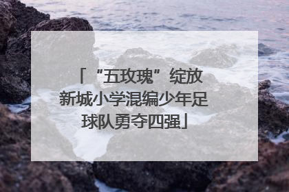 “五玫瑰”绽放 新城小学混编少年足球队勇夺四强