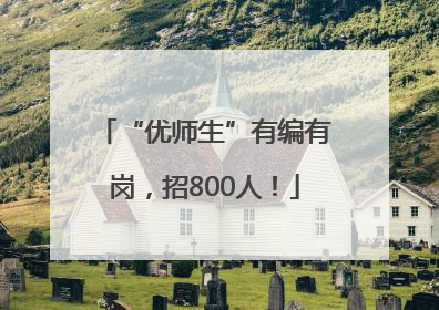 “优师生”有编有岗，招800人！
