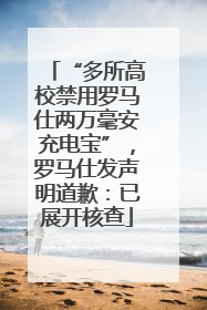 “多所高校禁用罗马仕两万毫安充电宝”，罗马仕发声明道歉：已展开核查