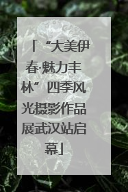 “大美伊春·魅力丰林”四季风光摄影作品展武汉站启幕