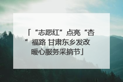 “志愿红”点亮“杏”福路 甘肃东乡发改暖心服务采摘节