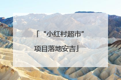 “小红村超市”项目落地安吉