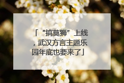 “搞莫狮”上线，武汉方言主题乐园年底也要来了