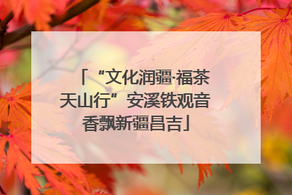 “文化润疆·福茶天山行”安溪铁观音香飘新疆昌吉