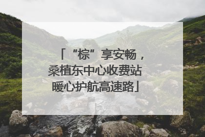 “棕”享安畅，桑植东中心收费站暖心护航高速路