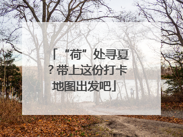 “荷”处寻夏？带上这份打卡地图出发吧