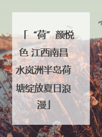 “荷”颜悦色 江西南昌水岚洲半岛荷塘绽放夏日浪漫