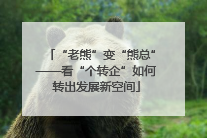 “老熊”变“熊总”——看“个转企”如何转出发展新空间