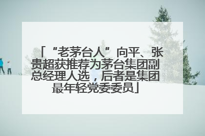 “老茅台人”向平、张贵超获推荐为茅台集团副总经理人选，后者是集团最年轻党委委员