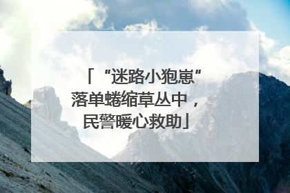“迷路小狍崽”落单蜷缩草丛中，民警暖心救助