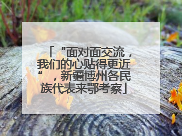 “面对面交流，我们的心贴得更近”，新疆博州各民族代表来鄂考察