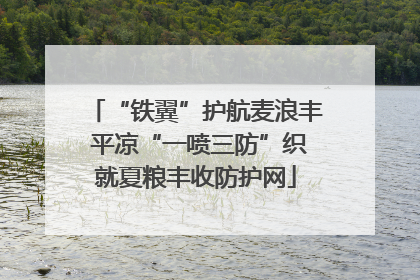 “铁翼”护航麦浪丰 平凉“一喷三防”织就夏粮丰收防护网