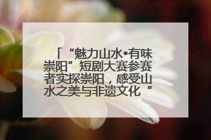 “魅力山水•有味崇阳”短剧大赛参赛者实探崇阳，感受山水之美与非遗文化“提琴戏”魅力