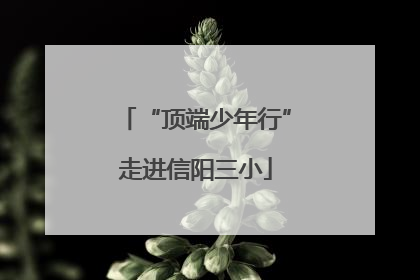 “顶端少年行”走进信阳三小