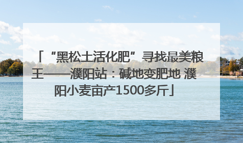 “黑松土活化肥”寻找最美粮王——濮阳站：碱地变肥地 濮阳小麦亩产1500多斤