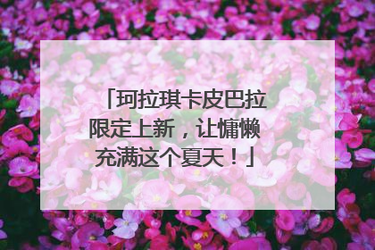 珂拉琪卡皮巴拉限定上新，让慵懒充满这个夏天！