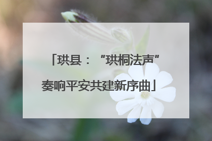 珙县：“珙桐法声”奏响平安共建新序曲