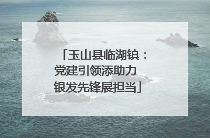 玉山县临湖镇：党建引领添助力 银发先锋展担当
