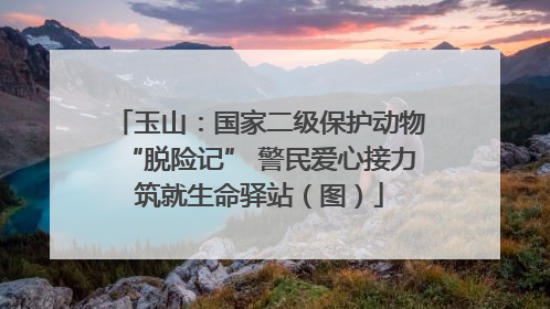 玉山：国家二级保护动物“脱险记” 警民爱心接力筑就生命驿站（图）