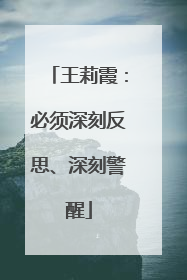 王莉霞：必须深刻反思、深刻警醒