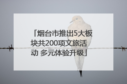 烟台市推出5大板块共200项文旅活动 多元体验升级