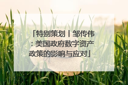 特别策划丨邹传伟：美国政府数字资产政策的影响与应对