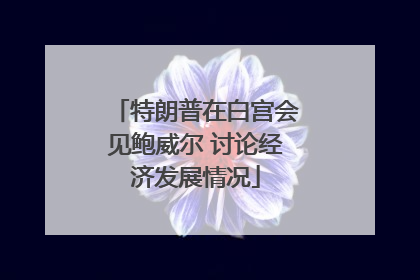 特朗普在白宫会见鲍威尔 讨论经济发展情况