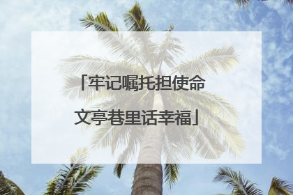 牢记嘱托担使命 文亭巷里话幸福