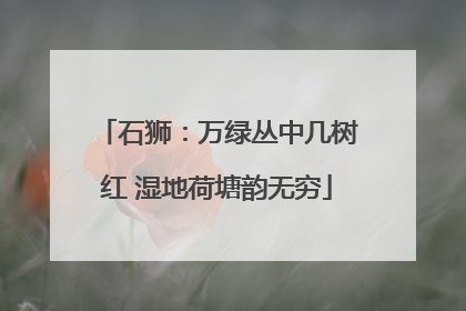 石狮：万绿丛中几树红 湿地荷塘韵无穷