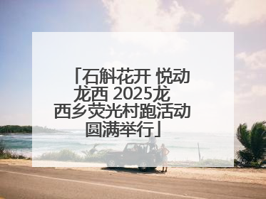 石斛花开 悦动龙西 2025龙西乡荧光村跑活动圆满举行