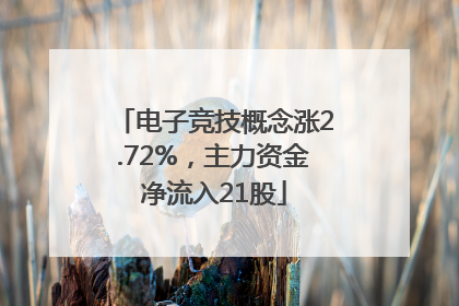 电子竞技概念涨2.72%，主力资金净流入21股