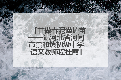 甘做春泥谨护苗——记河北省河间市景和镇初级中学语文教师程桂霞
