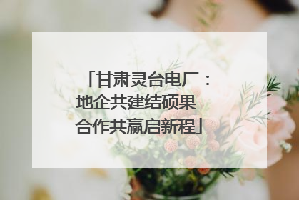 甘肃灵台电厂：地企共建结硕果 合作共赢启新程