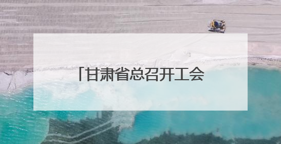 甘肃省总召开工会联系引导社会组织工作现场推进会