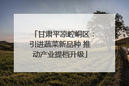 甘肃平凉崆峒区：引进蔬菜新品种 推动产业提档升级