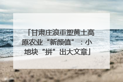 甘肃庄浪重塑黄土高原农业“新颜值”：小地块“拼”出大文章